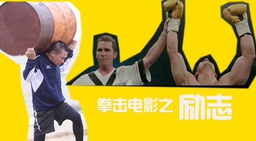 中国打拳vs日本打拳电影